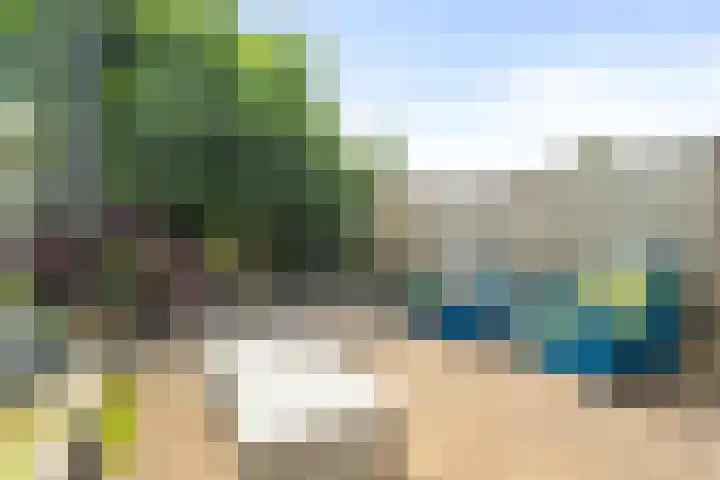 Kruiszwin 4156 Julianadorp thumbnail 12