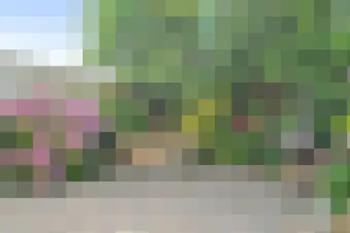Kruiszwin 4156 Julianadorp thumbnail 13