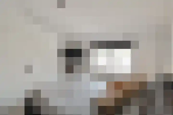 Kruiszwin 4156 Julianadorp thumbnail 15