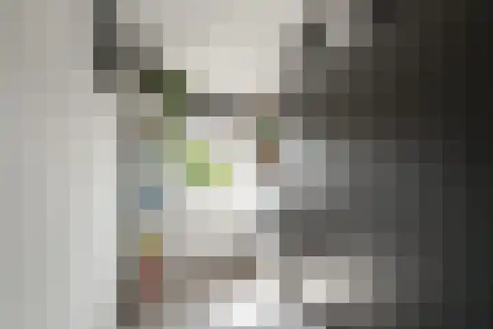 Kruiszwin 4156 Julianadorp thumbnail 19