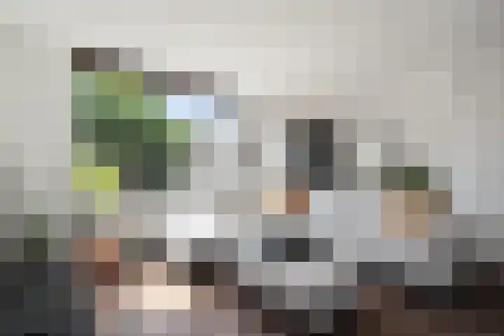 Kruiszwin 4156 Julianadorp thumbnail 6