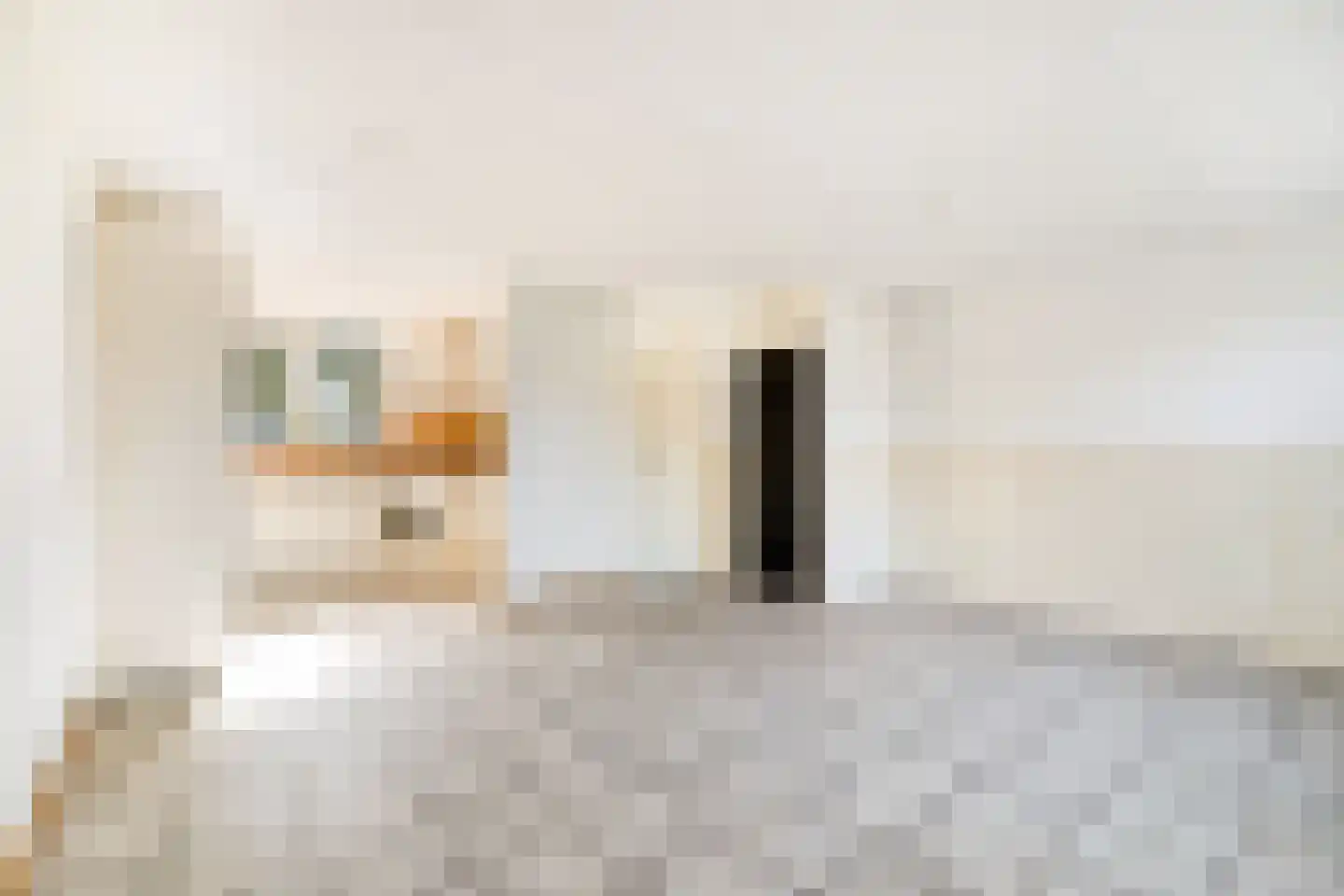 Kruiszwin 4321 Julianadorp thumbnail 10