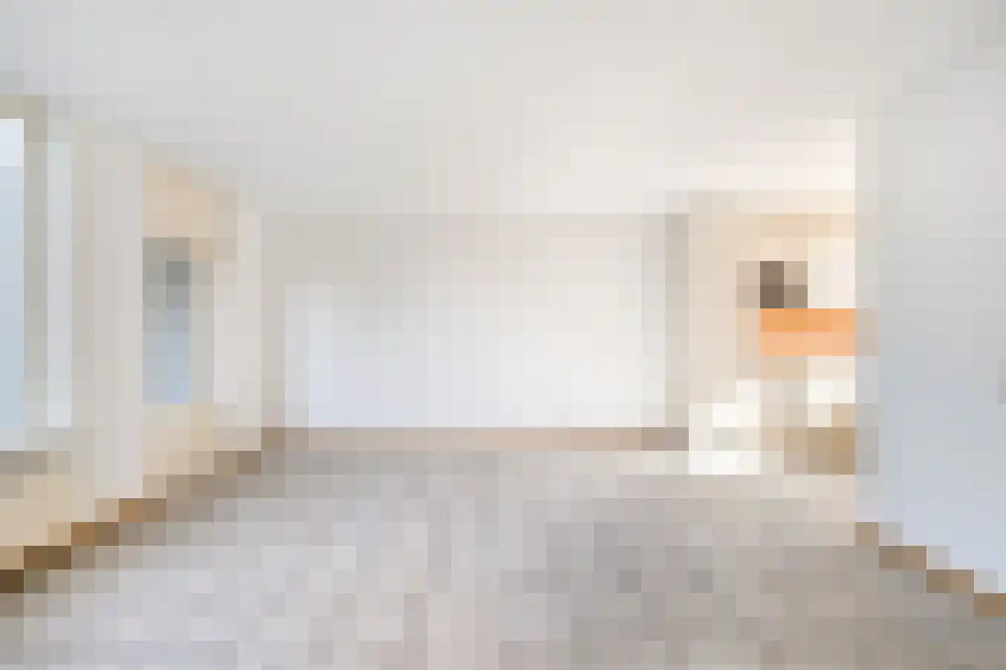 Kruiszwin 4321 Julianadorp thumbnail 13