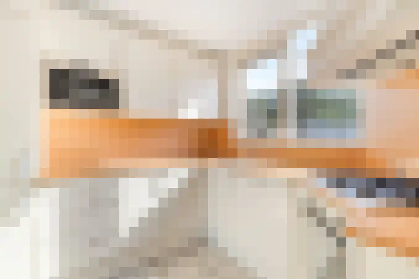 Kruiszwin 4321 Julianadorp thumbnail 15