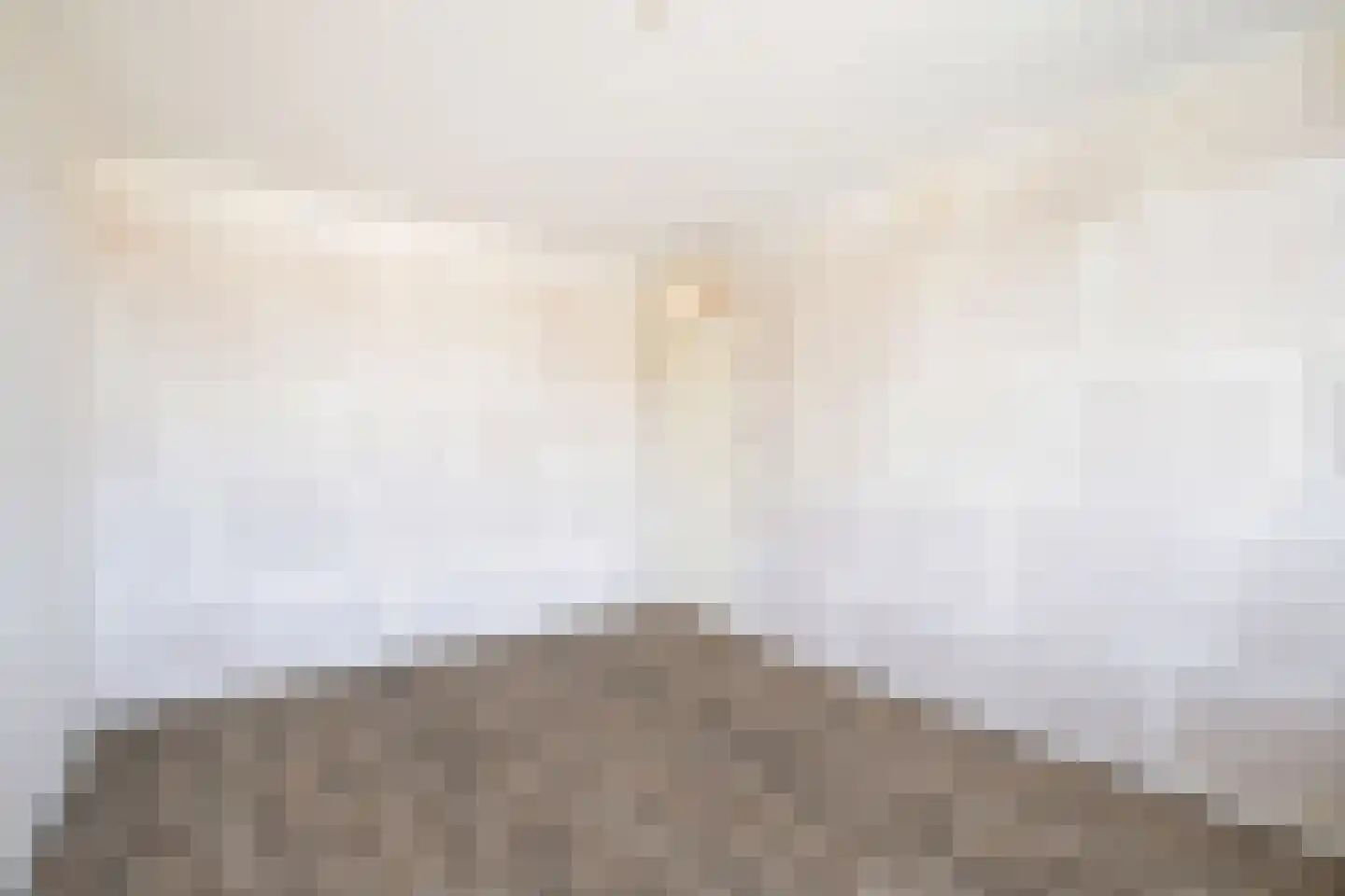 Kruiszwin 4321 Julianadorp thumbnail 23