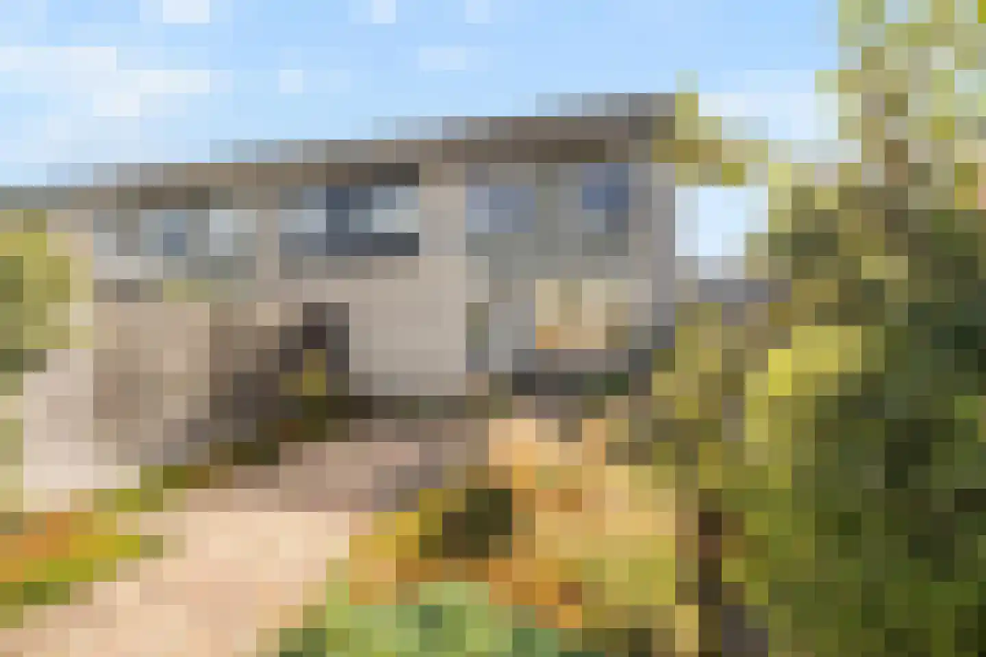 Kruiszwin 4321 Julianadorp thumbnail 36