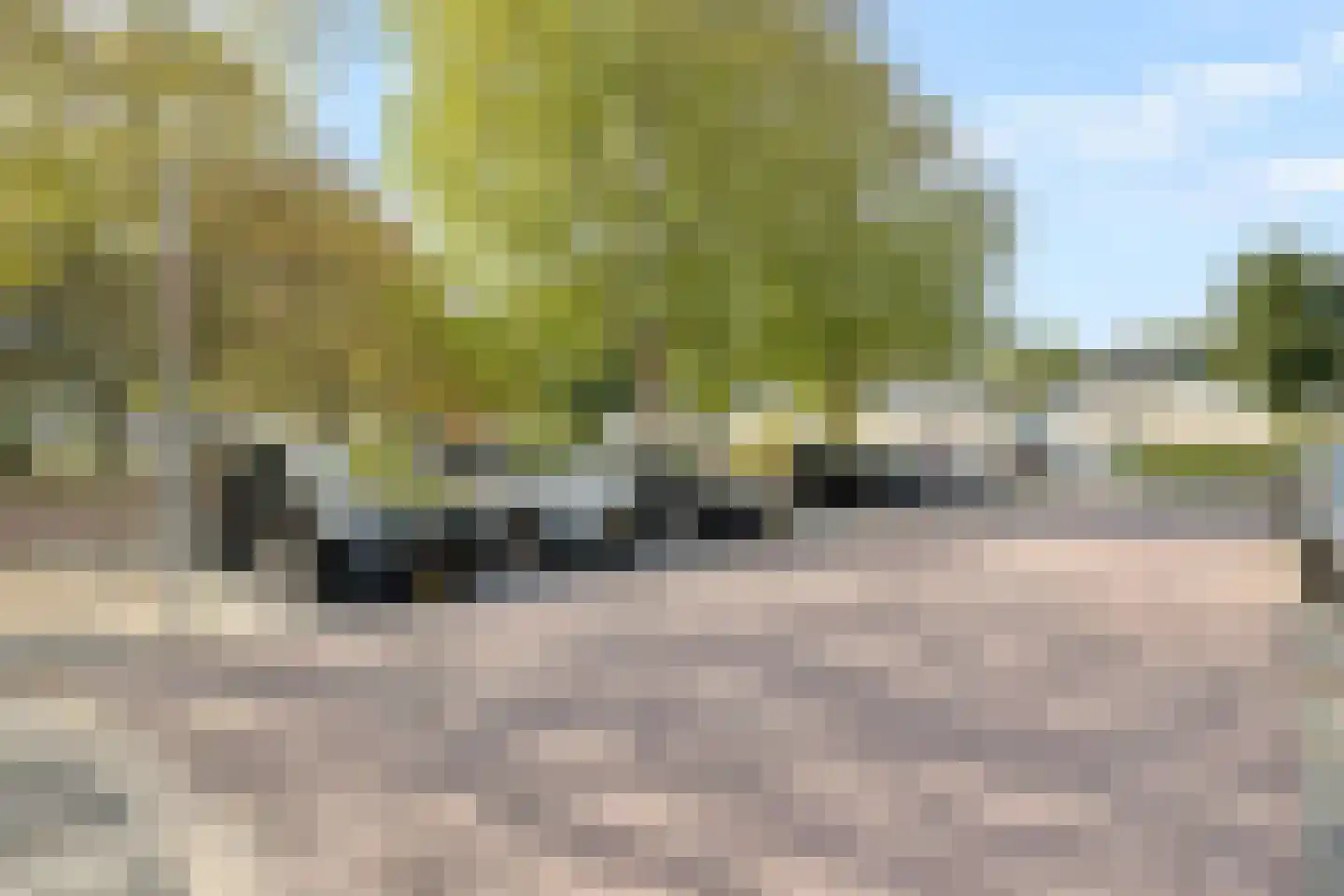 Kruiszwin 4321 Julianadorp thumbnail 41
