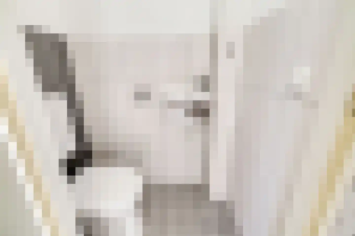 Kruiszwin 4321 Julianadorp thumbnail 7