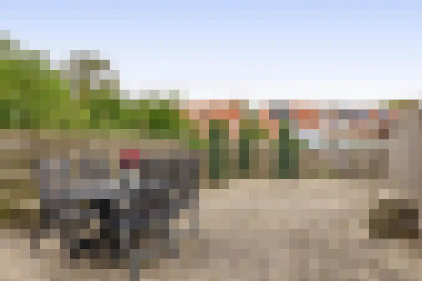 Kruiszwin 4415 Julianadorp thumbnail 14