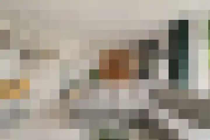 Kruiszwin 4418 Julianadorp thumbnail 10
