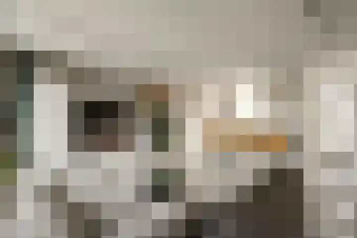 Kruiszwin 4418 Julianadorp thumbnail 11