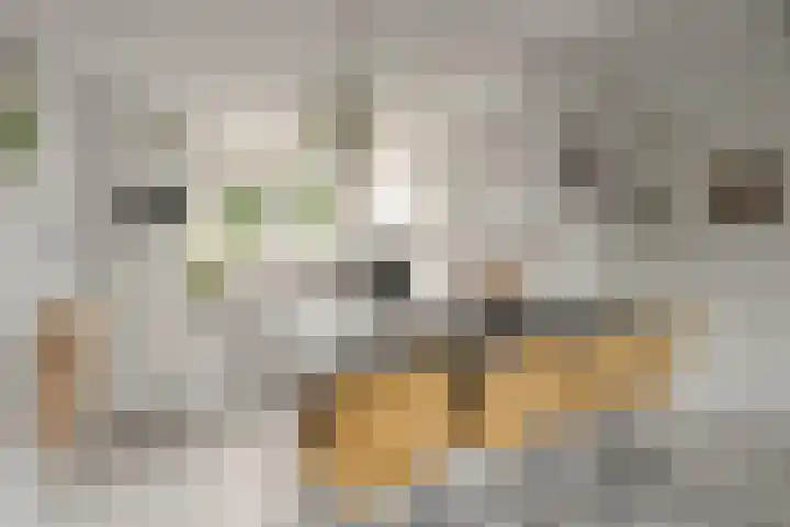 Kruiszwin 4418 Julianadorp thumbnail 13