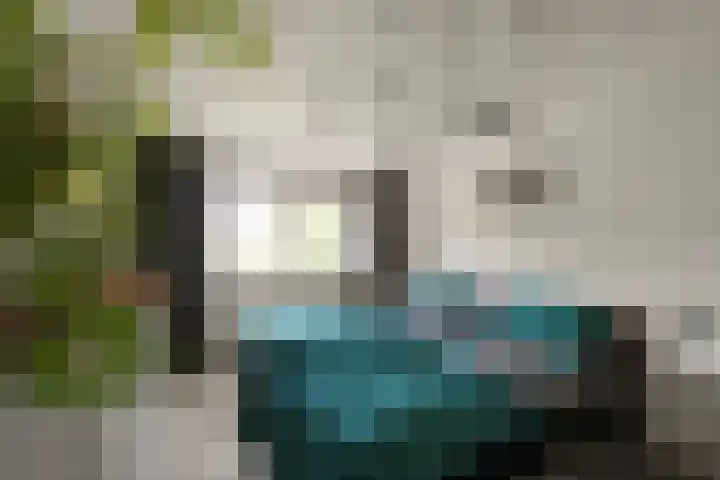Kruiszwin 4418 Julianadorp thumbnail 16