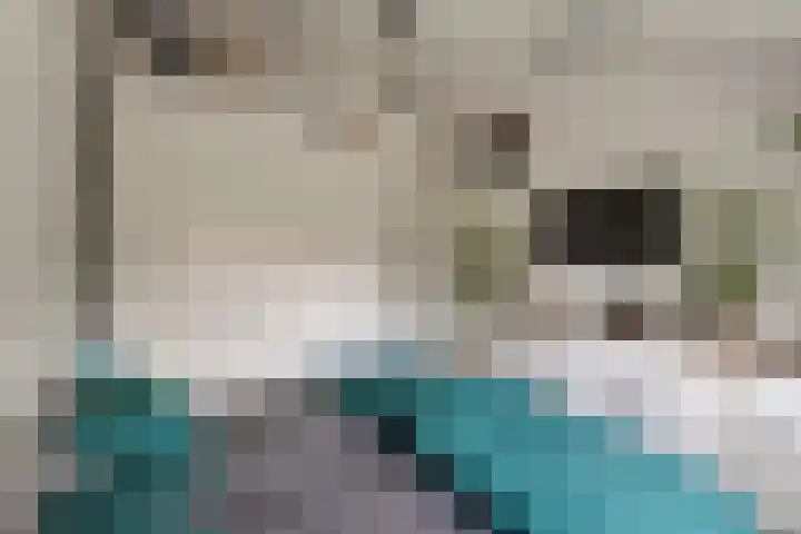 Kruiszwin 4418 Julianadorp thumbnail 17