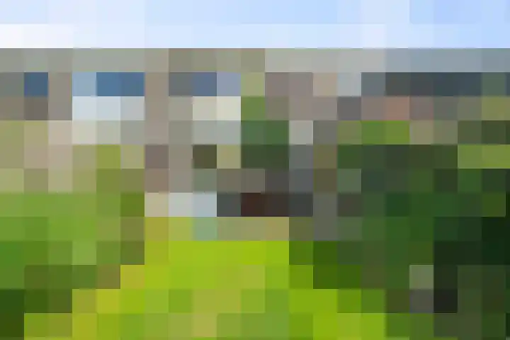 Kruiszwin 4418 Julianadorp thumbnail 25