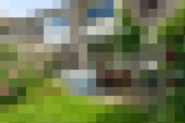 Kruiszwin 4418 Julianadorp thumbnail 4
