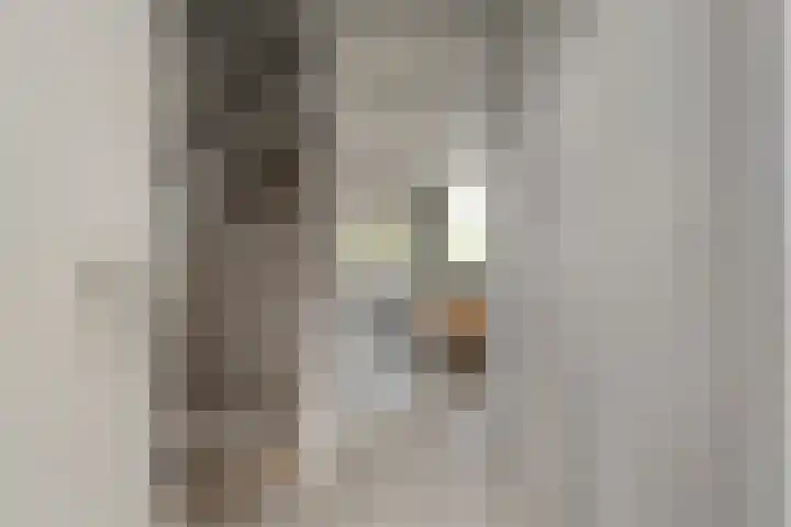 Kruiszwin 4418 Julianadorp thumbnail 6