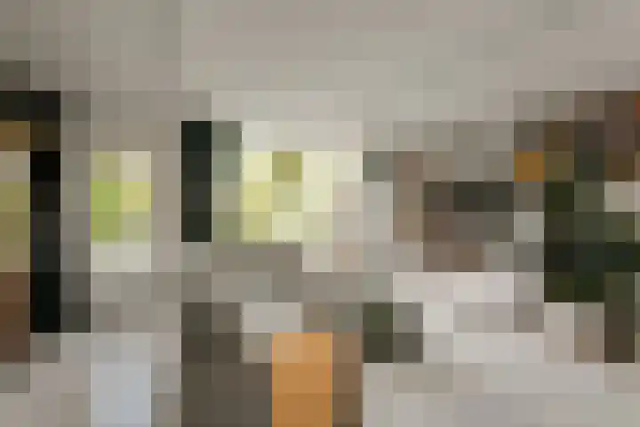 Kruiszwin 4418 Julianadorp thumbnail 8