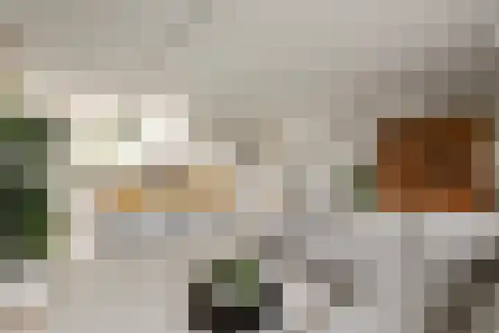 Kruiszwin 4418 Julianadorp thumbnail 9