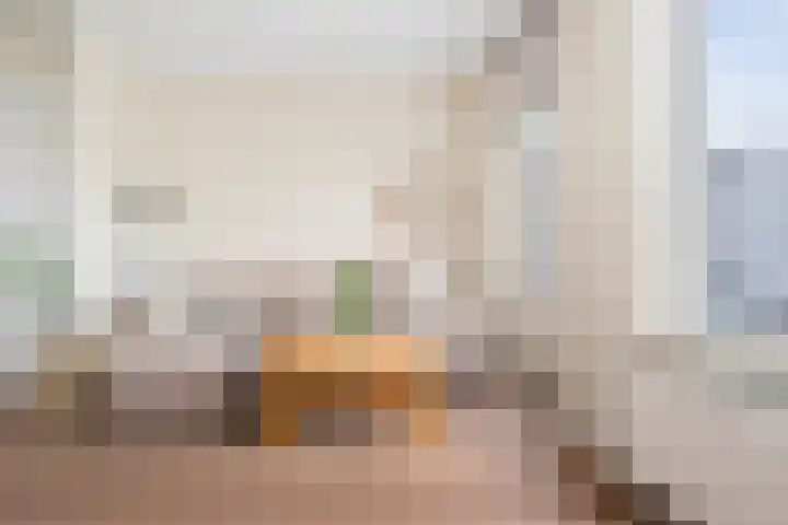 Kruiszwin 4437 Julianadorp thumbnail 17