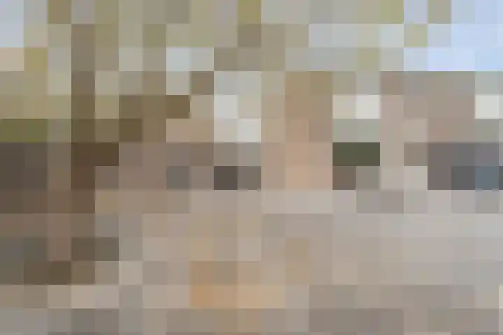 Kruiszwin 4437 Julianadorp thumbnail 19