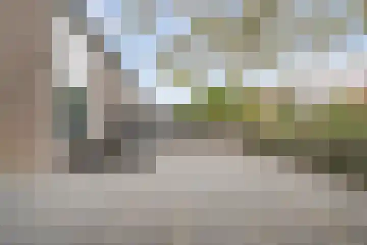 Kruiszwin 4437 Julianadorp thumbnail 23
