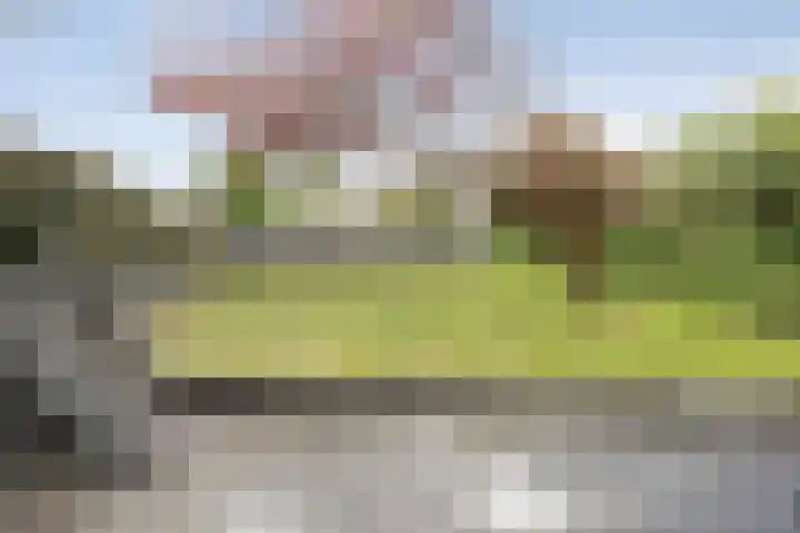 Kruiszwin 4437 Julianadorp thumbnail 25