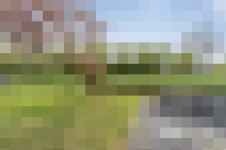 Kruiszwin 4437 Julianadorp thumbnail 26