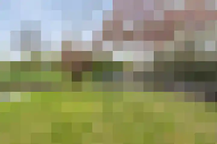 Kruiszwin 4437 Julianadorp thumbnail 27