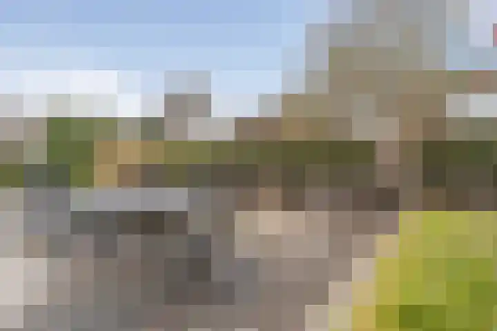Kruiszwin 4437 Julianadorp thumbnail 28