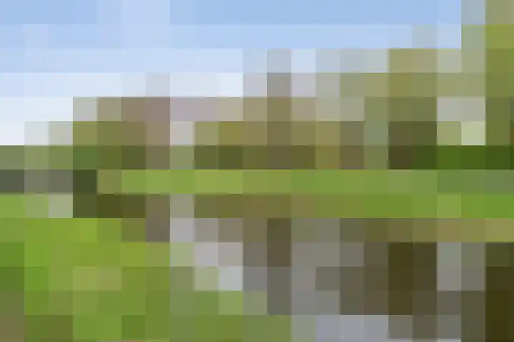 Kruiszwin 4437 Julianadorp thumbnail 29