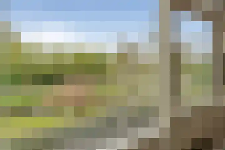 Kruiszwin 4437 Julianadorp thumbnail 35