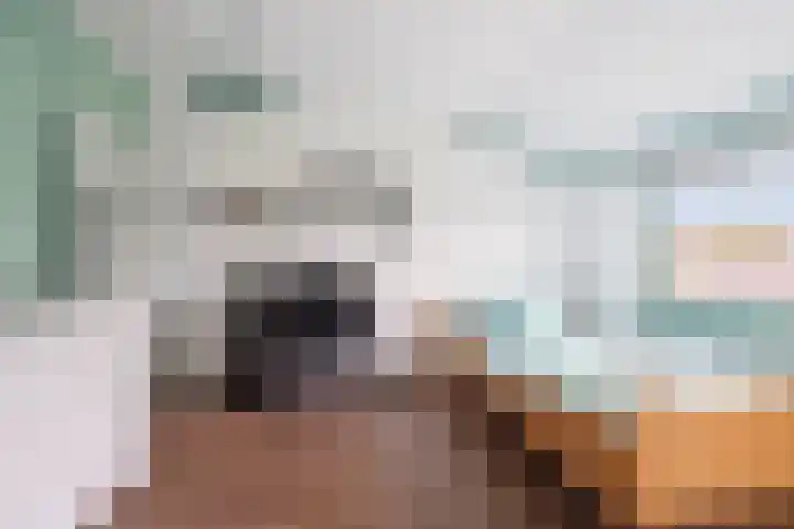 Kruiszwin 4437 Julianadorp thumbnail 36