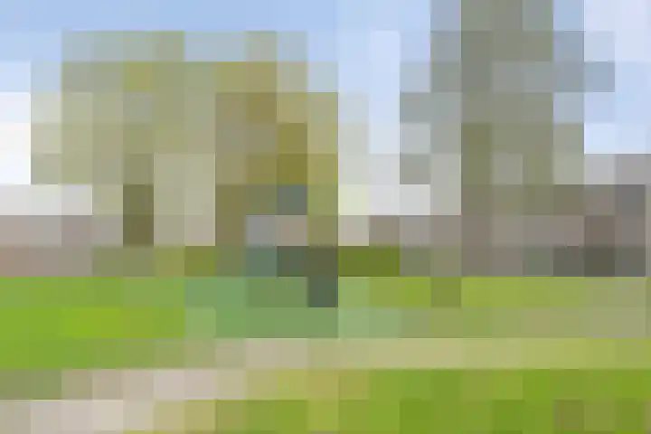 Kruiszwin 4437 Julianadorp thumbnail 42