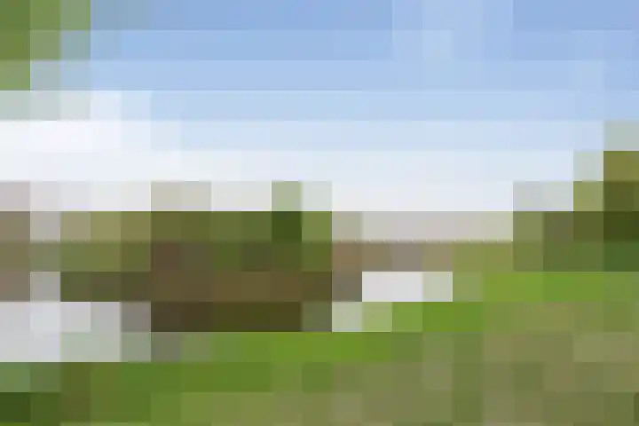 Kruiszwin 4437 Julianadorp thumbnail 43
