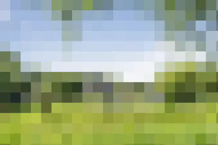 Kruiszwin 4437 Julianadorp thumbnail 44