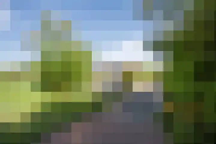 Kruiszwin 4437 Julianadorp thumbnail 45