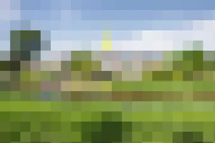 Kruiszwin 4437 Julianadorp thumbnail 49
