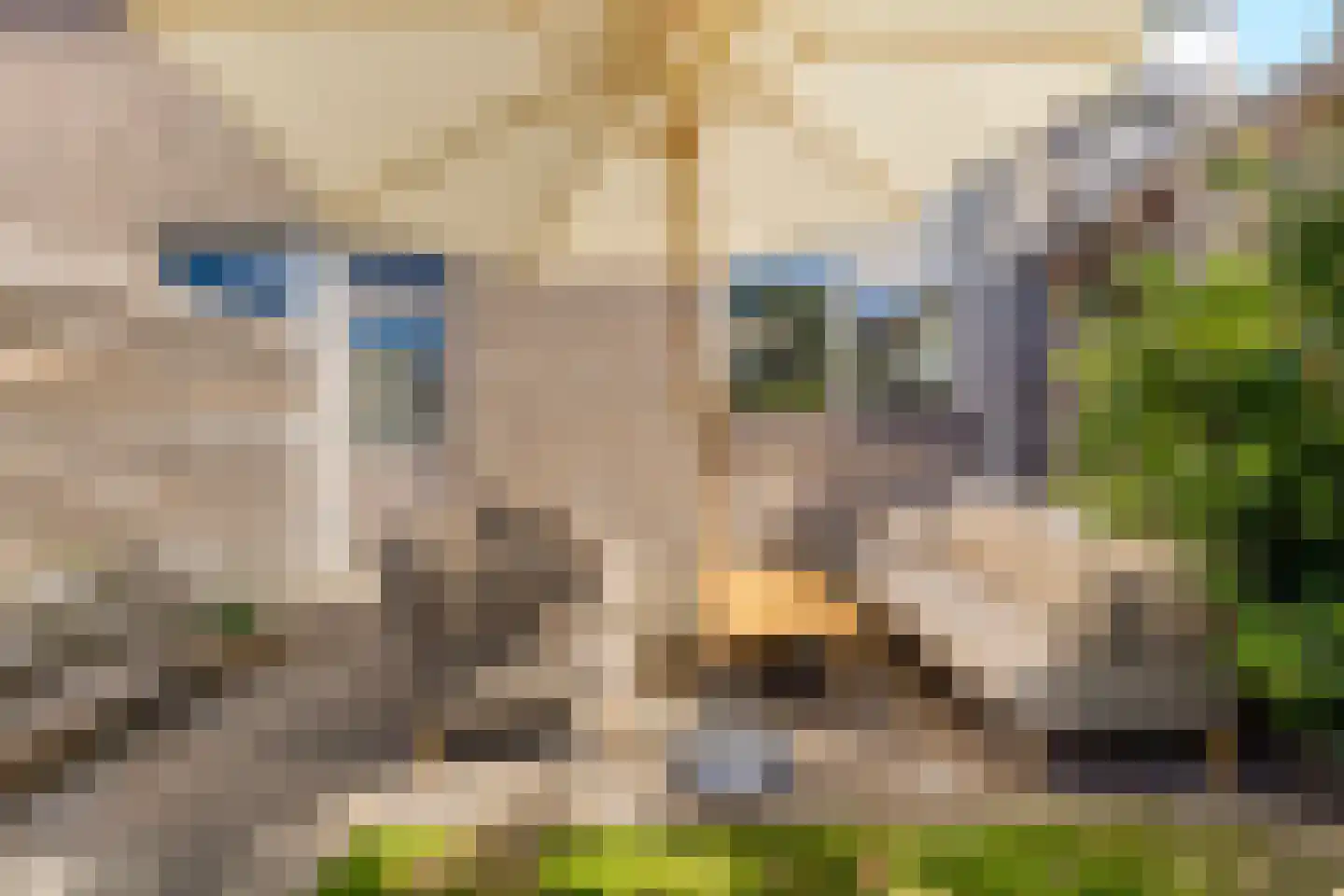Kruiszwin 4454 Julianadorp thumbnail 10