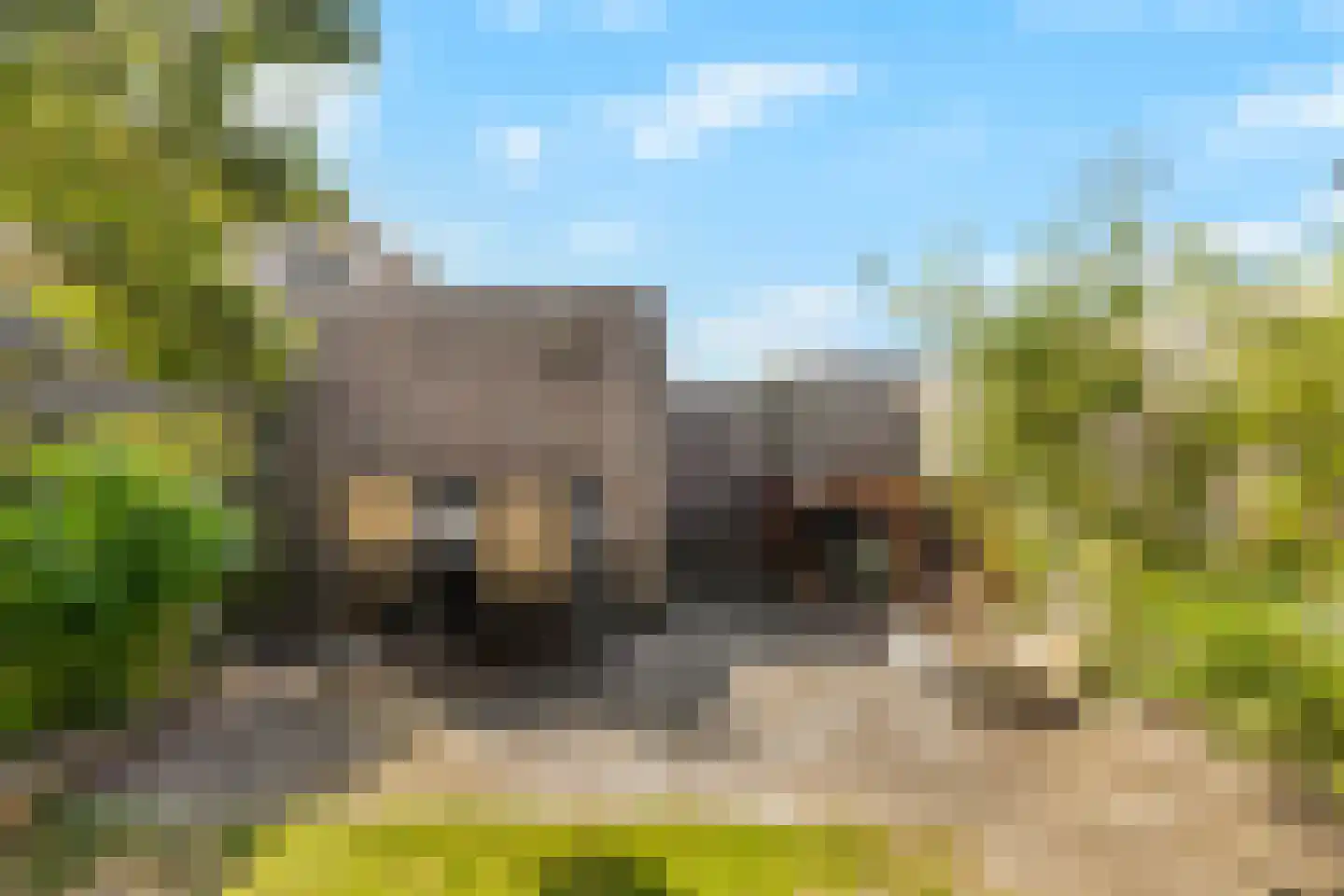 Kruiszwin 4454 Julianadorp thumbnail 11