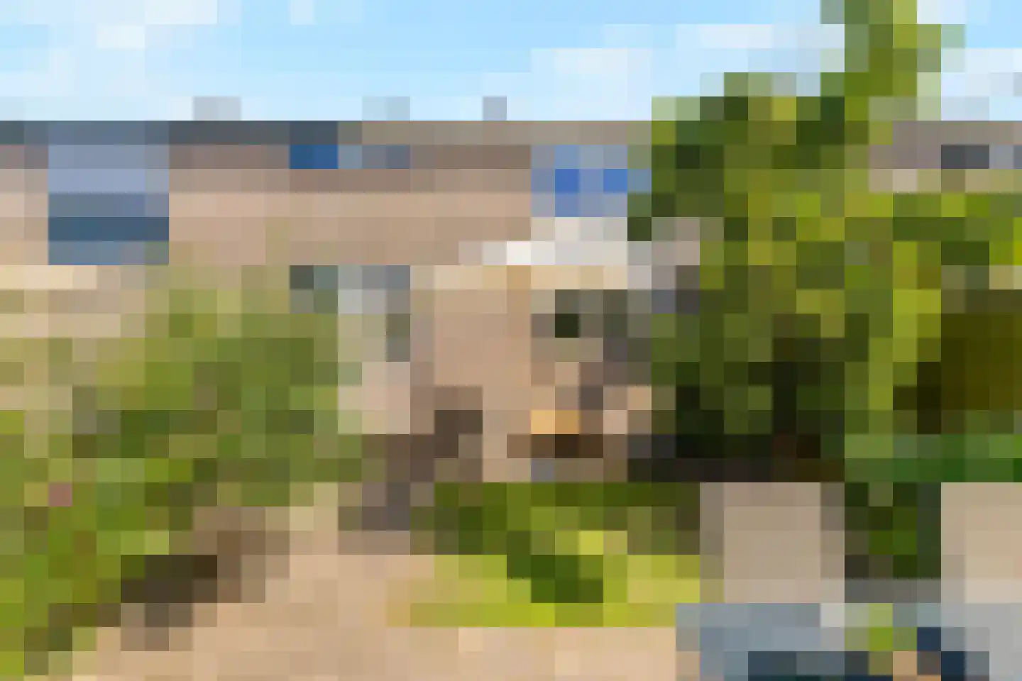 Kruiszwin 4454 Julianadorp thumbnail 5