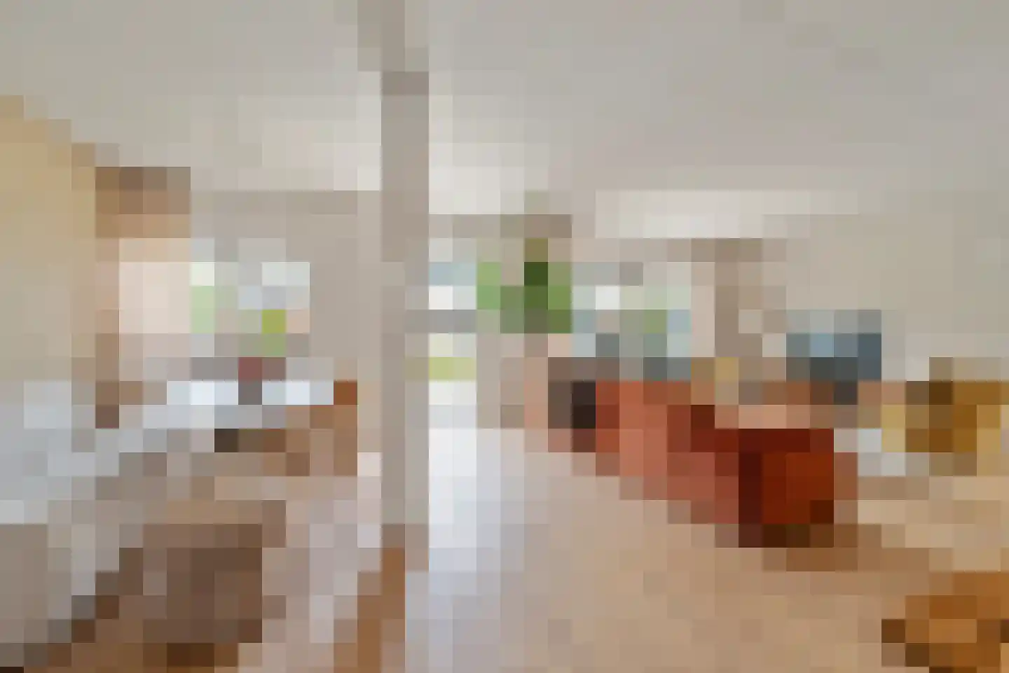 Kruiszwin 4528 Julianadorp thumbnail 10