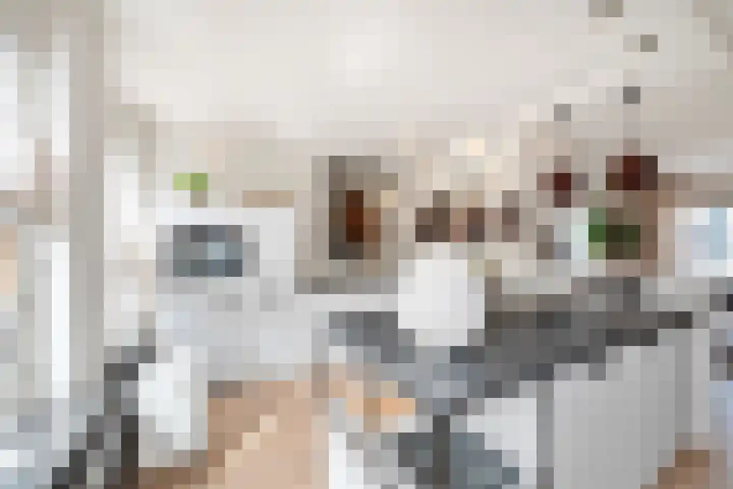 Kruiszwin 4528 Julianadorp thumbnail 17