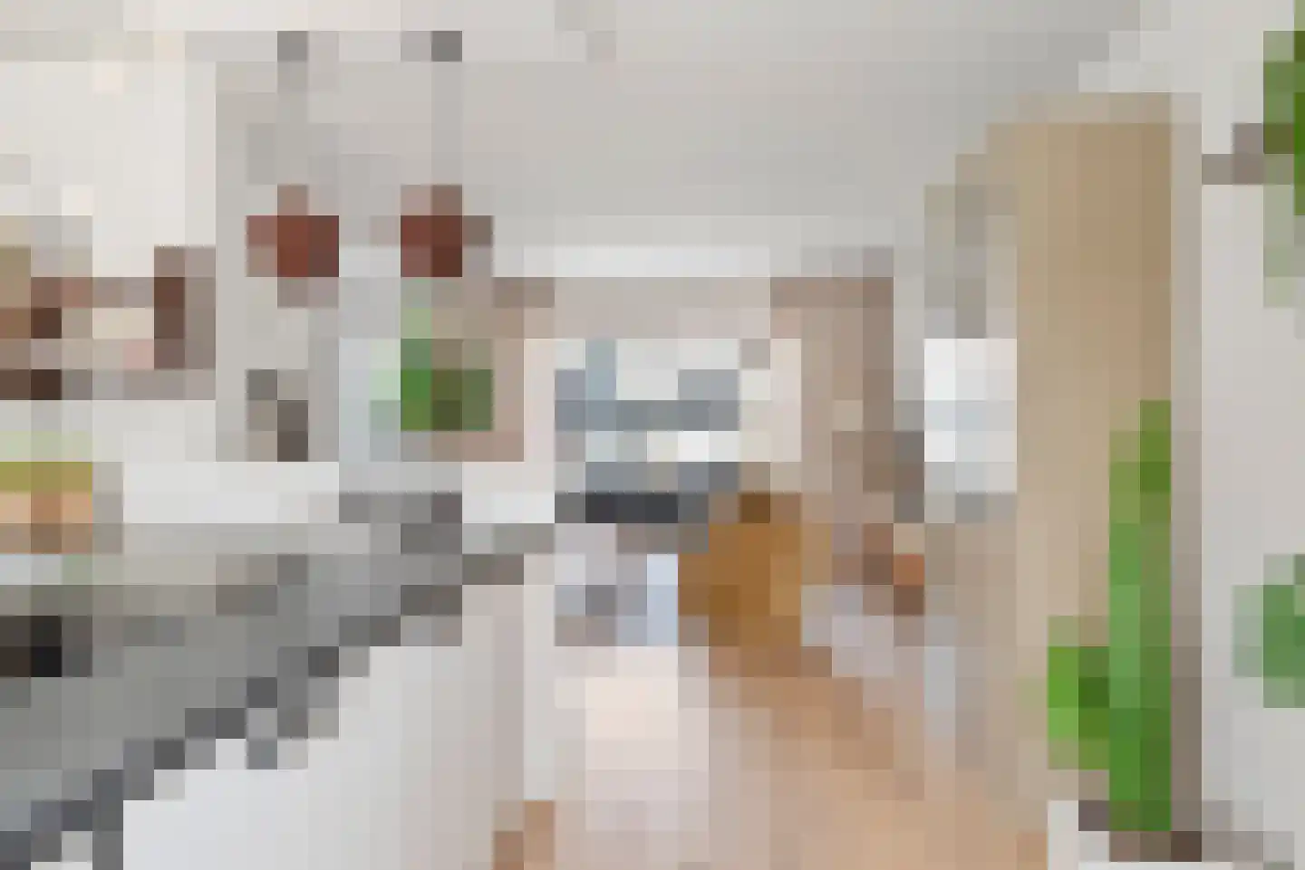 Kruiszwin 4528 Julianadorp thumbnail 21