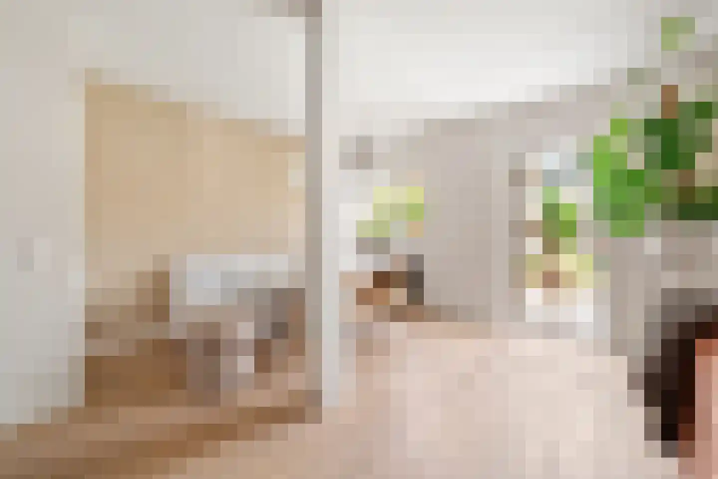 Kruiszwin 4528 Julianadorp thumbnail 24