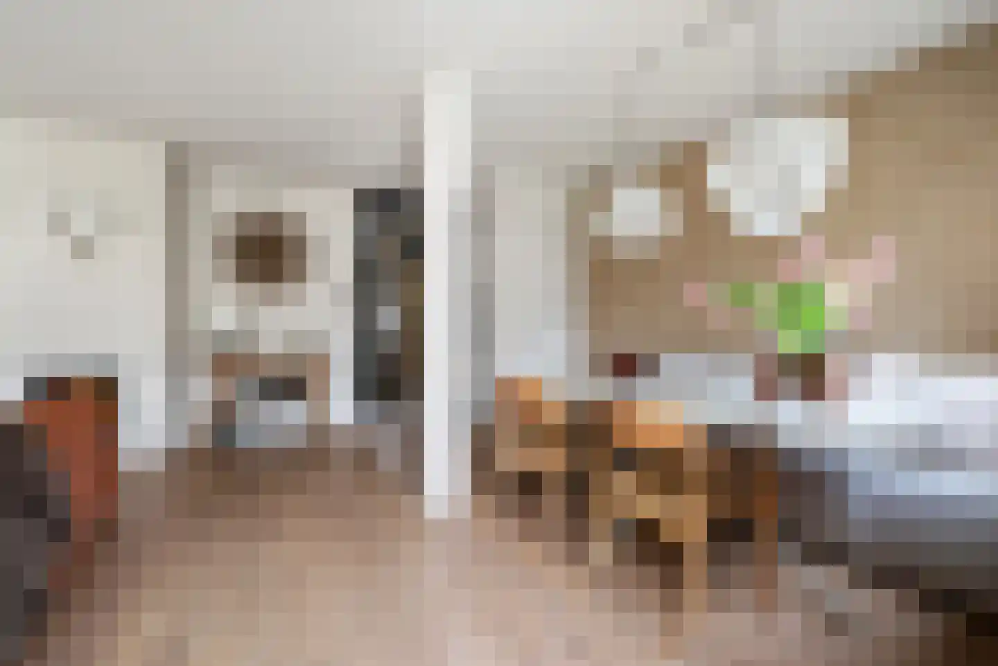 Kruiszwin 4528 Julianadorp thumbnail 25