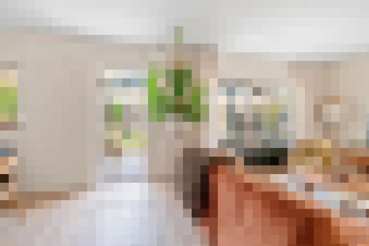 Kruiszwin 4528 Julianadorp thumbnail 26