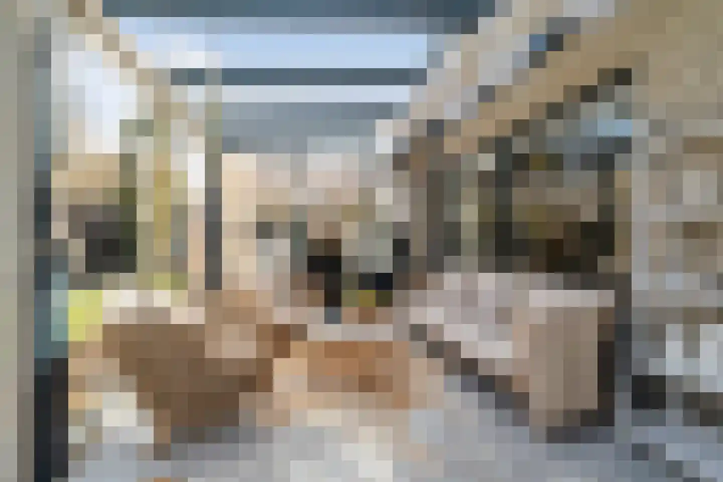 Kruiszwin 4528 Julianadorp thumbnail 29