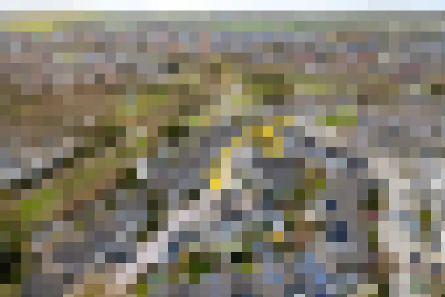 Kruiszwin 4528 Julianadorp thumbnail 5