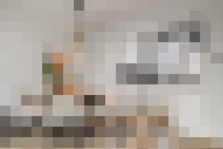 Kruiszwin 5107 Julianadorp thumbnail 10